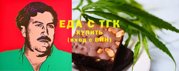 индика Белокуриха